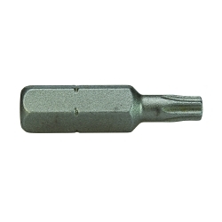 Apex 480-TX-55X Insert Bit, T55 Torx Point, 1-1/4 in OAL, Steel - Screwdriver Bit